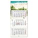 Produktbild Drei-Monatskalender 2022 Palmen I Wandkalender 3 Monate I 33 x 70 cm I mehrsprachig D/GB/F/ES I Jahresplaner mit Datumsschieber zum aufhängen I tr_045