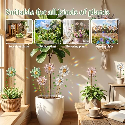 Attrape Soleil Cristal Rompt la Monotonie des Plantes Vertes en Pot - 7