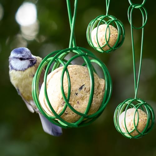 Hanging Fat Balls Feeders (Pack of 3) - Galvonised Iron - WEATHERPROOF Bird Feeders for Small Birds Outdoor Garden Suet Feeder for Trees or a Bird Hanging Station