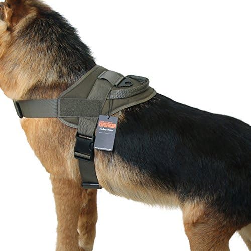 elite dog harness