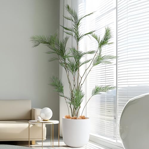 [LJKI] lHϗtA sv i 񂽂ݒu tFCNO[  p ygȂϗtA 150cm u ϗtA P|  sv CeA j a Ԃ  fR[V  J^