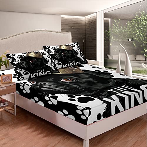 Erosebridal Puppy Pug Bed Sheets Queen,Black Dog Animal Print Fitted Sheet Pug With King Crown Bedding Set For Kids Boys Girls Teens Dog Lovers Bedding With 2 Pillow Cases Bedroom Decor #TOP13