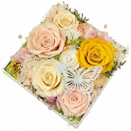 HipTree Preserved Yellow Rose Forever Real Eternal Pastel Austin Rose Gifts for Women, Valentine’s Day Mother’s Day Easter Birthday Christmas Wedding Anniversary for Mom Wife Girlfriend