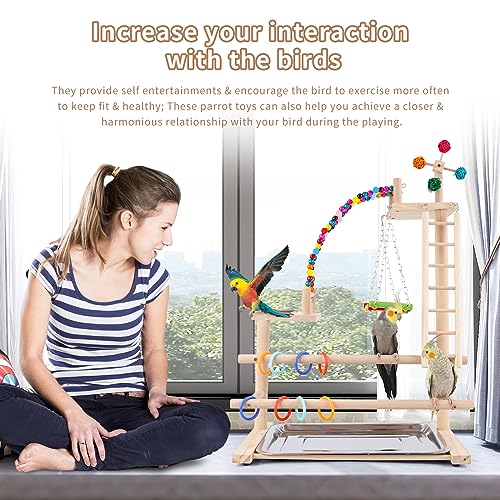 Hpawhomepart HH-IHBSBP0661 Bird Playground, Perch Stand Parrot Playstand Play Gym thumb #2