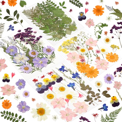 87 Stück Gepresste Blumen Natürliche Getrocknete Blumen DIY