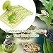 1 Pack Plastic Frog Hammock with Suction Cup Tree Frog Suction Platform Reptile Terrarium Decoration for Toad African Dwarf Frog Tree Frog