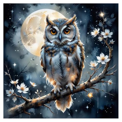 TCDZMYGS Paint by Numbers Kit for Adults Beginner,Owl Adult Paint by Number Kits on Canvas Without Frame,DIY Acrylic Oil Painting by Numbers Kits for Home Wall Decor 16x16 inch