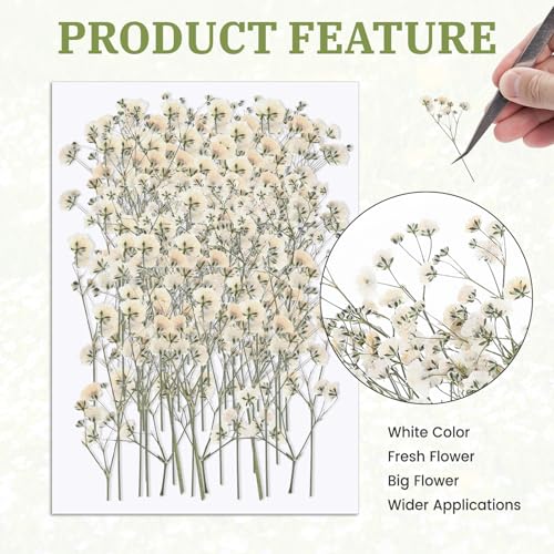 Flor seca artificial Babys Breath blanco x100 unidades miniatura 4