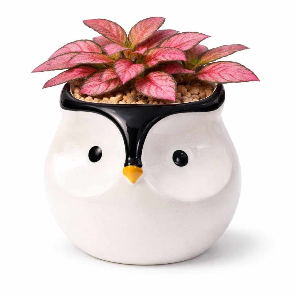 Ceramic Owl Planter, White, 12 x 11 x 12 cm, Decorative Succulent Flower Pot for Home, Office, Garden and Table Decor, Item-image-8