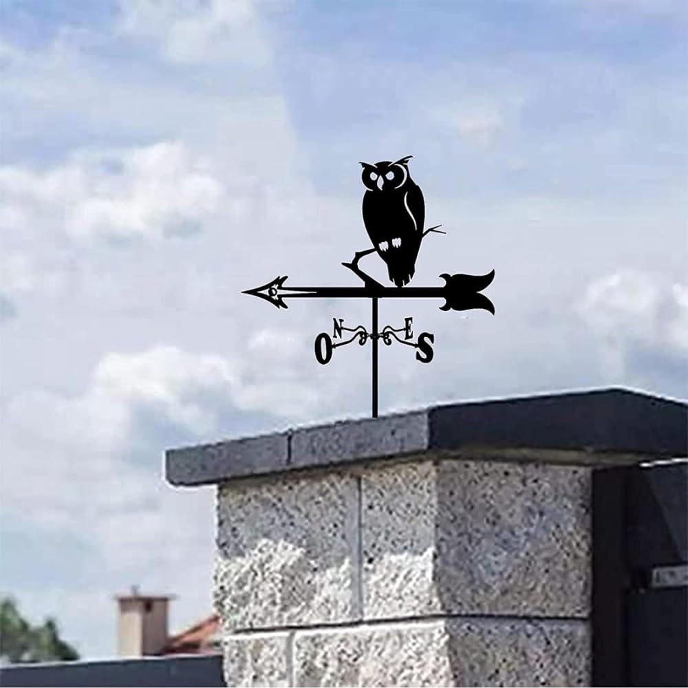 Segnavento professionale a banderuola con indicatore di direzione del vento con rivestimento antiruggine Segnavento per giardino, fattoria, cortile, viaggiatore