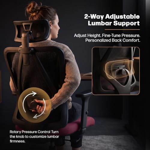 Image of DROGO Ergonaut Ergonomic Office Chair for Work from Home | Computer Chair with 2D Headrest, Armrests & Adjustable Lumbar Support | Breathable Mesh with 120 Recline, 1-Year Warranty (Black & Red)