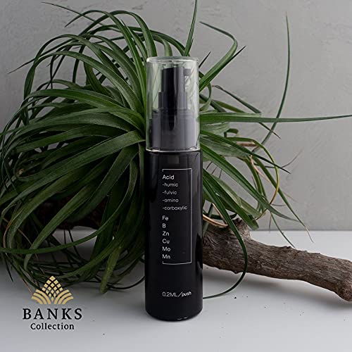 Amazon | BLACKWATER® ブラックウォーター 50ml【THE COMPOSTと