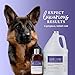 iGroom True Color Dog Shampoo, Coat Luxury Pet Beauty Care, Brighten, Enhance and Restore Natural Coat Color, Add Moisture and Condition, Made in USA, 16 oz