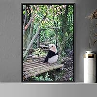 Framed Canvas Wall Art Panda Animals Bear Expressive Living Room Multicolor Photography Tropical - 16x24 inches