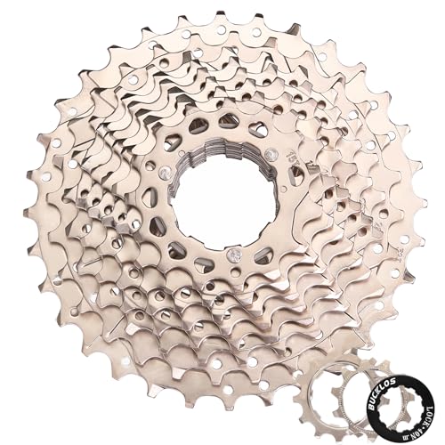 AEYINO Cassette 10 Speed 11-32T,Bicycle Freewheel Fit Mountain Bike/Road Bike/XC/DH/AM,Compatible with Shimano Sram