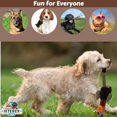 Large Dog Toy - Chicken Squeaky Dog Toys for Large Dogs, Medium and Small Dogs. Durable with Pineapple Plush Fabric, Long Legs, Hidden Seams, Reinforced Stress Points, Googly Eyes - Image 5
