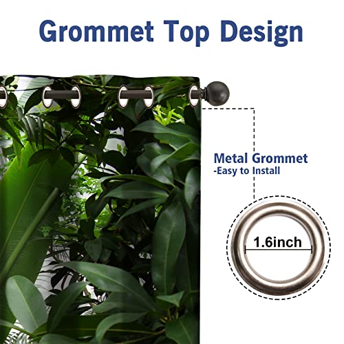 Jekeno Tropical Rainforest Plant Blackout Curtains Nature Wood Decor Home Bedroom Living Room Darkening Grommet Window Drapes 2 Panel Set, 42"x54"