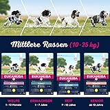 Eukanuba Hundefutter mit frischem Huhn für mittelgroße Rassen, Premium Trockenfutter für Senior Hunde, 15 kg