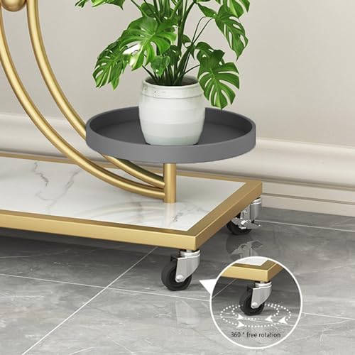 Support de fleurs intérieur pour éviter le désordre des pots - 7