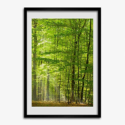 Cadre MDF 50x70 cm avec affiche de forêt de hêtres Tulup tableau décoratif en bois