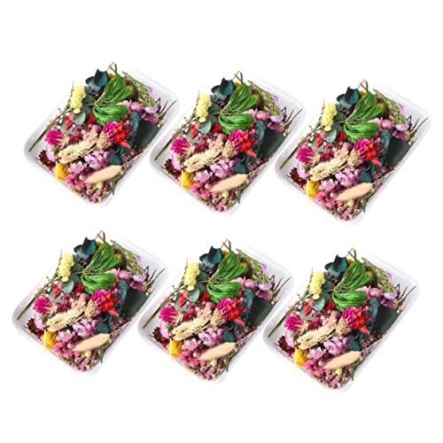 Materiales de Flores Secas para Manualidades DIY miniatura 1