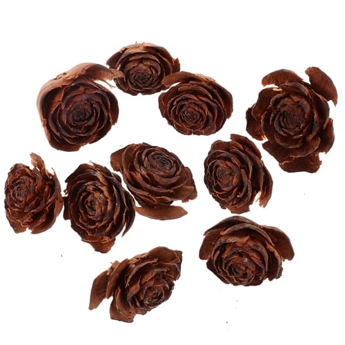 Beavorty Set 10 piezas conos de pino naturales secos para decoración miniatura 1