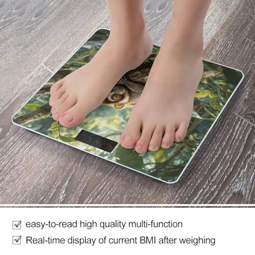 Báscula de Baño Digital Slow Loris LCD Vidrio Templado miniatura 5