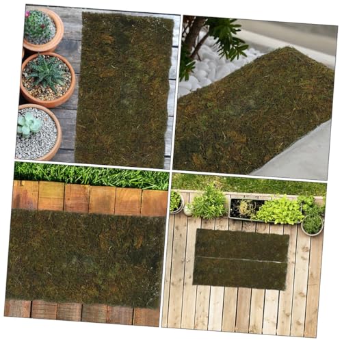 Mousse décorative pour intérieur et aménagement paysager de terrasse - 6