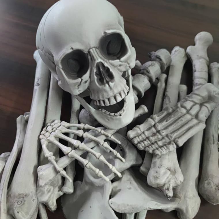 骸骨 スカル 頭蓋骨 ドクロ 髑髏 ガイコツ 置物 インディジョーンズ