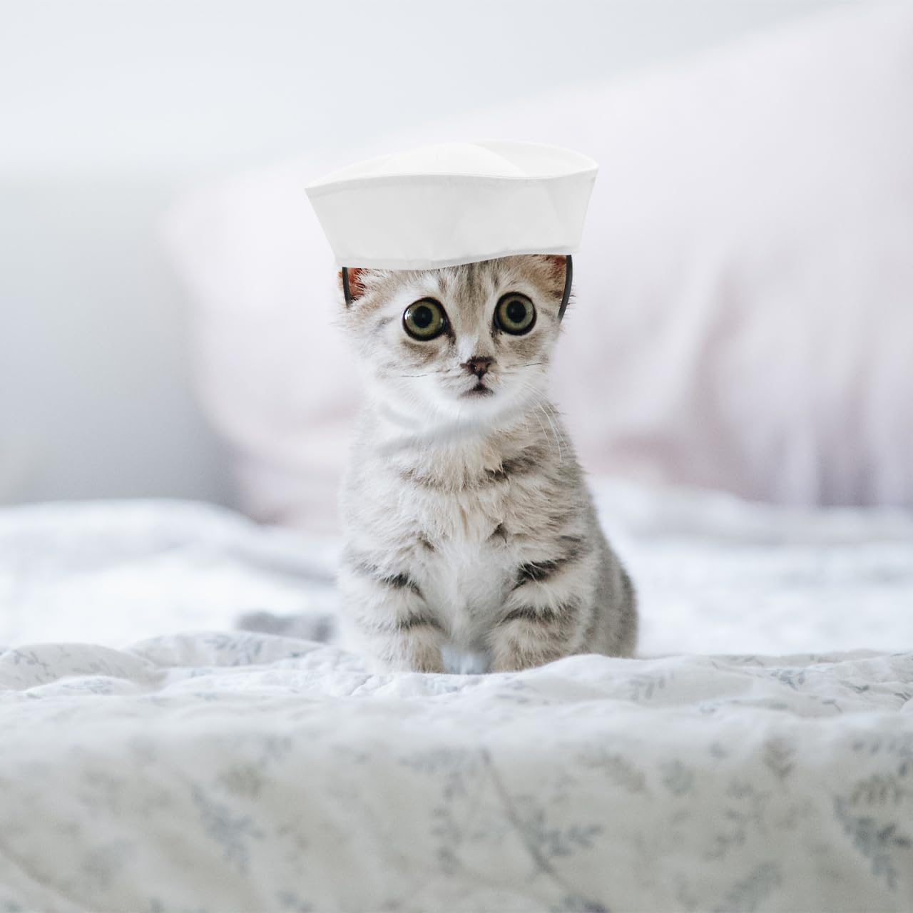 Toyvian Mini Dog Sailor Hat Pet Cap Lightweight Party Accessory for Small Dogs Cats Cosplay Festival Headwear 9.44X5.90X0.59In