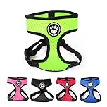 PaddingPaws Waterproof Soft Mesh Fabric Dog Puppy Pet Adjustable Harness Lead Leash Clip (M, Green)