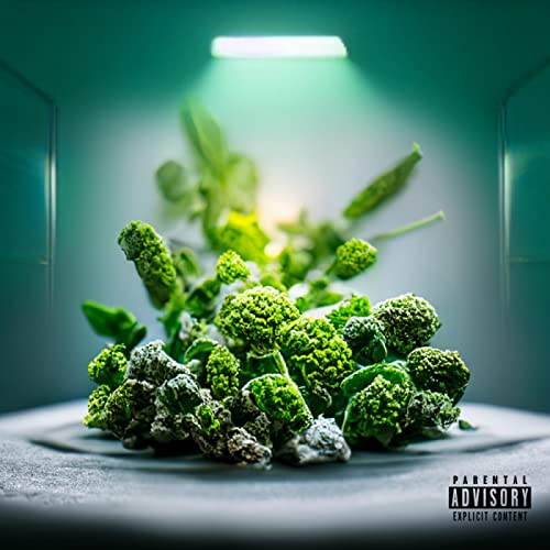 Luca-Dante Spadafora & Sääftig