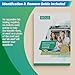 Mold Test Kit for Home - 6 Simple Detection Tests,Test HVAC System,Home Surfaces,&Indoor Air Quality Testing Kits,DIY black Mold Detector at Home,Includes Detailed Mold Identification Guide,air Tester