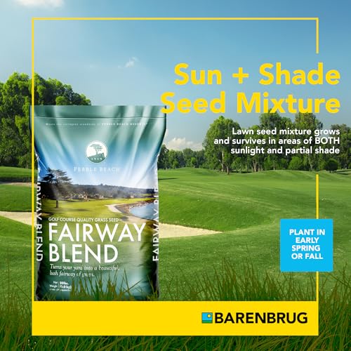 Grass Seed Blends For Sandy Soil And Beach Properties