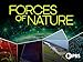 Forces of Nature Season 1