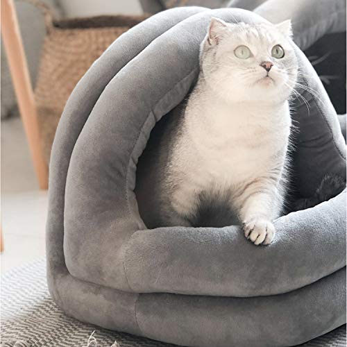 The 29 Best Plastic Cat Beds of 2024 [Verified] Cherry Picks