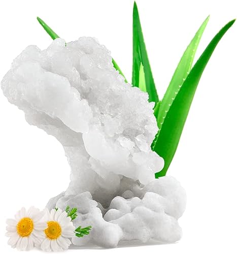 RIVAGE - Sal de baño con minerales naturales del mar muerto con aloe vera y manzanilla, 8.82 oz, minerales naturales que alivian e hidratan aptos