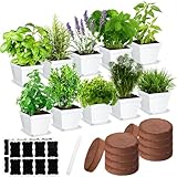 Ripeng 10 Set Herb Garden Kit Indoor Herb Garden Starter Kit with Pots Nutritional Soil Markers Kitchen Window Planter Gift for Women Men Indoor Outdoor Growing Gardening Gift