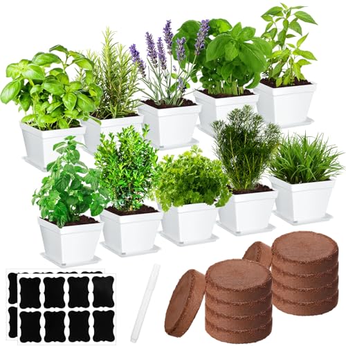 Ripeng 10 Set Herb Garden Kit Indoor Herb Garden Starter Kit with Pots Nutritional Soil Markers Kitchen Window Planter Gift for Women Men Indoor Outdoor Growing Gardening Gift