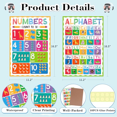 D4DREAM Pôster pré-escolar para crianças pequenas cartazes laminados do alfabeto para decorações de