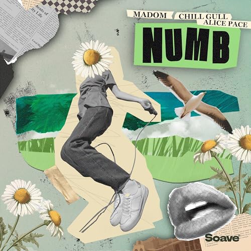 Madom, Chill Gull & Alice Pace