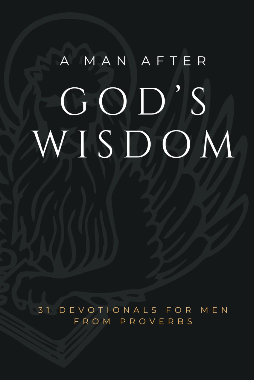 A Man After God's Wisdom: 31 Devotionals for Men from Proverbs