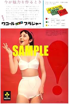 【昭和レトロ】ワコール 照明広告 店舗什器 非売品【希少】 昭和レトロ】ワコール 照明広告 店舗什器 非売品【希少】 - メルカリ