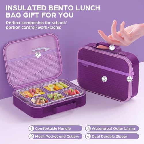 SCHOLARLY Bento Style Lunch Box for Adult Kids Portable Snacks Box with Bag Stainless Steel 5 Compartments Sealed Leakproof Containers for Office, School Use (Multicolor) - Image 4