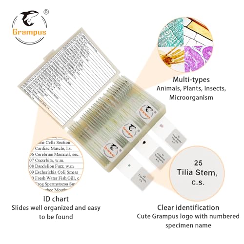 Image of 30 Prepared Microscope Slides with Specimens for Kids Students - Animals Plants Insects Microorganism, for Biological Science Lab, Children's Science Education, Homeschool
