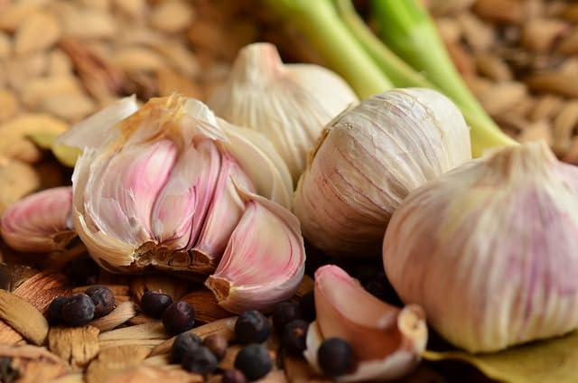 Fresh Clove of Garlic Seeds for Home Use - PACK OF 60-image-39