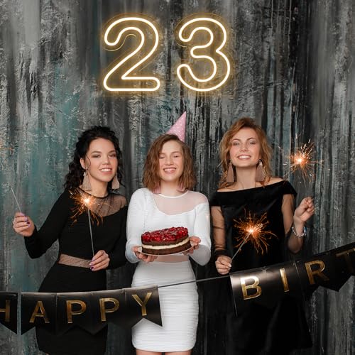 Image of Number 2 LED Neon Sign Backdrop Birthday Party Decoration, 11.3 inch Height Warm White Marquee Number Two Light Up Sign for Wedding Anniversary Window Wall Table, Indoor Battery Operated or USB