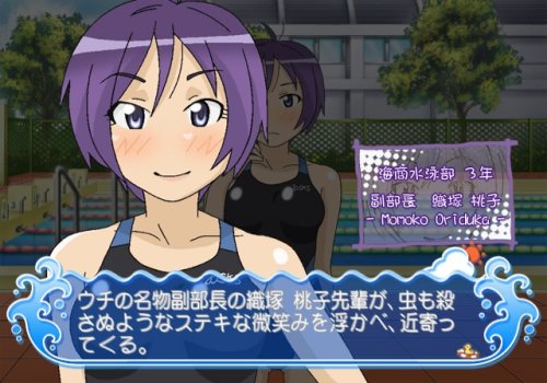 ウミショーの関連画像13