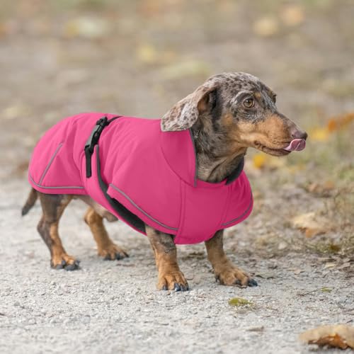 Hjyokuso Hundemantel Dackel M, Winddichter Wasserdichter Wintermantel Für Dackel Hunde, Hundejacke Für Große Hunde, Hundemantel Winter Mit Bauchschutz Und Leinenloch, Winterjacken Für Hunde - Rosa
