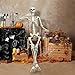 UMEELR 5.9FT Full Size Skeleton, Life Size Poseable Skeleton for Halloween Outdoor Decoration